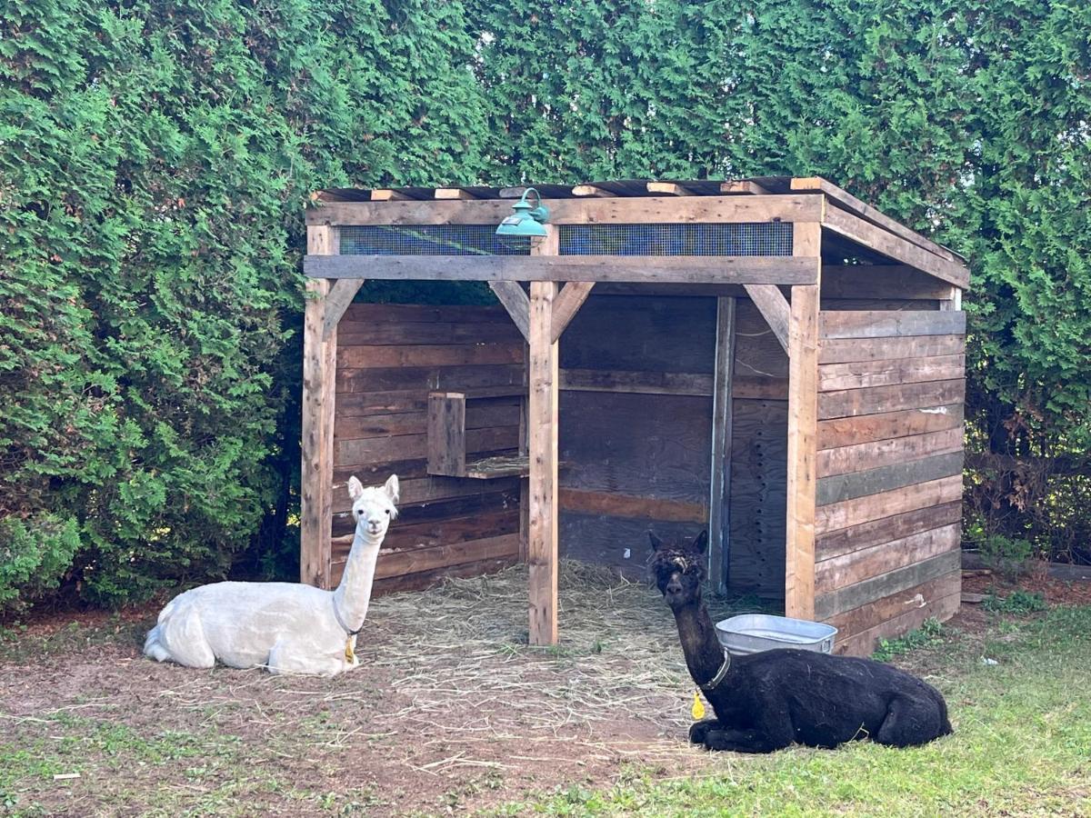 Gîte - La ruée vers l’orge Trois-Rivières Esterno foto